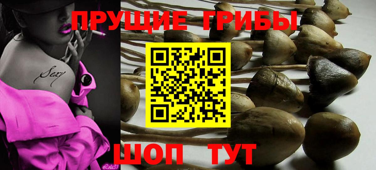 Псилоцибиновые грибы MAGIC MUSHROOMS  Вход с VPN  Михайловка 