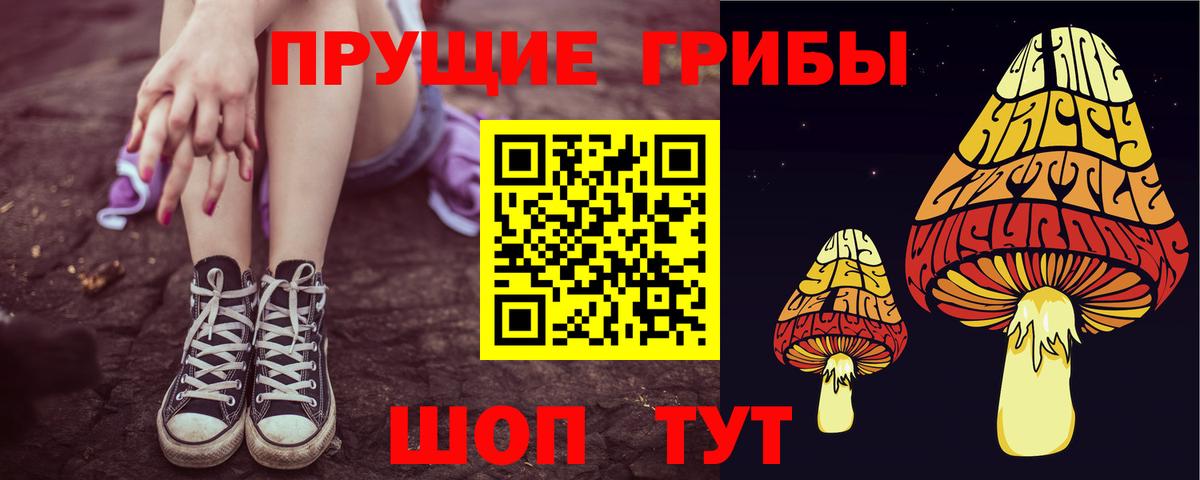 Галлюциногенные грибы Psilocybine cubensis Михайловка